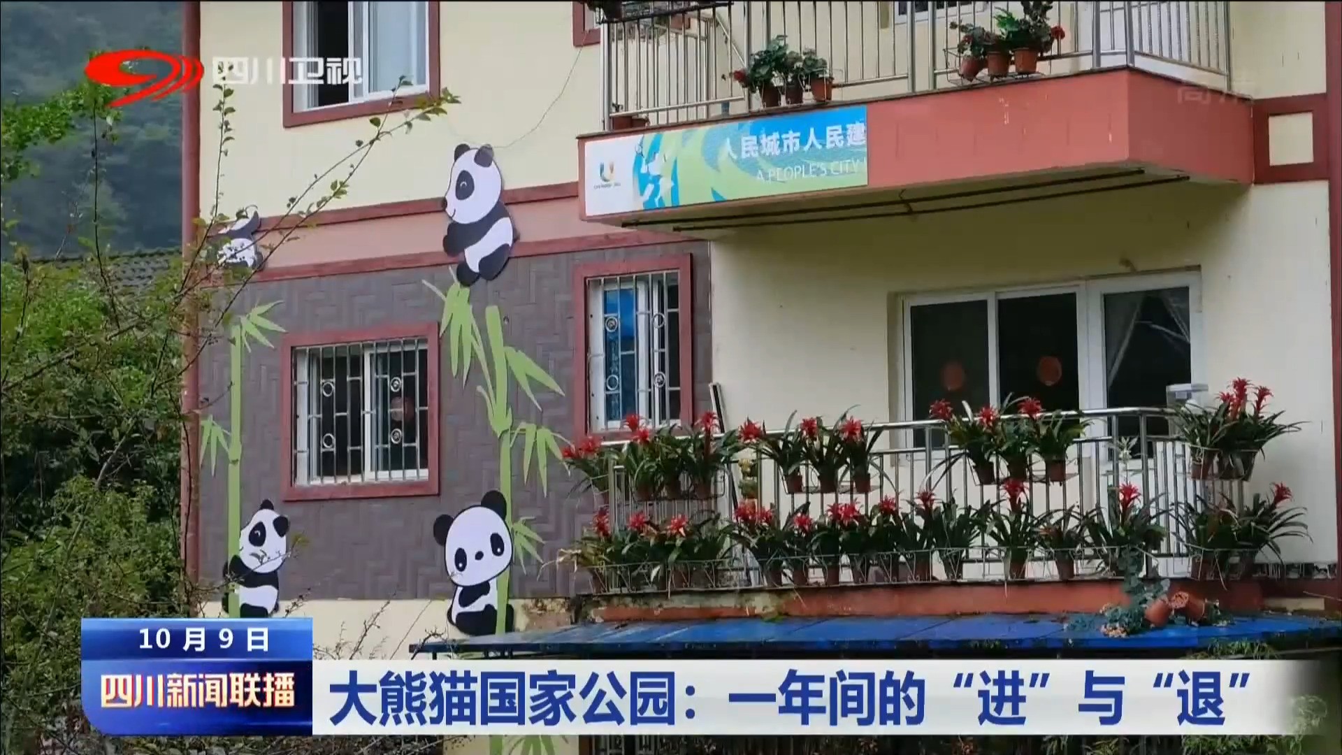 大熊猫国家公园：一年间的“进”与“退” 第 5 张