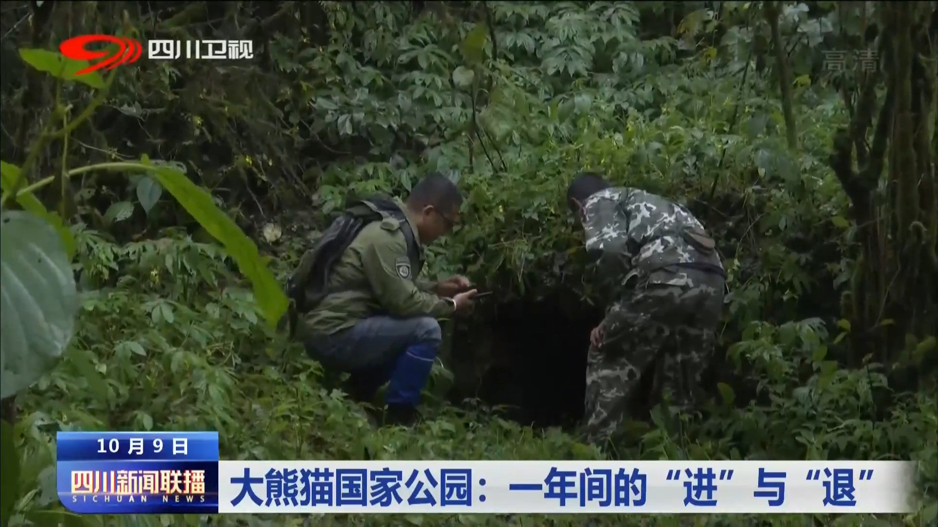 大熊猫国家公园：一年间的“进”与“退” 第 7 张