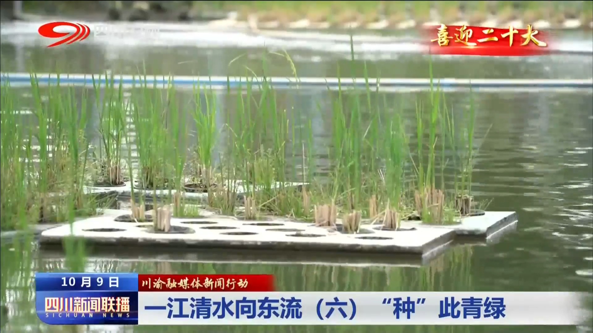 川渝融媒体新闻行动·一江清水向东流⑥“种”此青绿 第 9 张