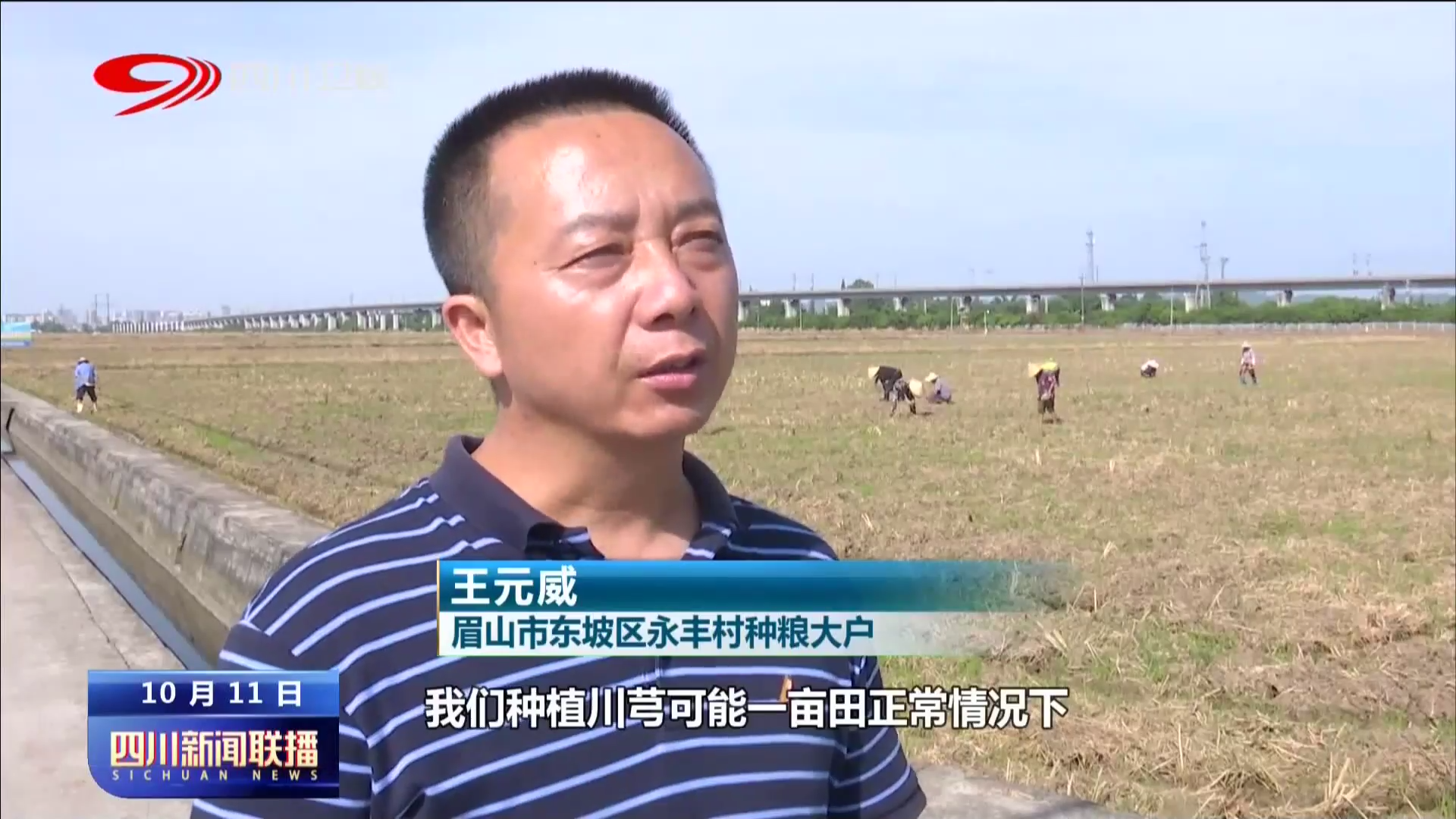 天府十年⑩：乡村振兴 再启新程 第 2 张