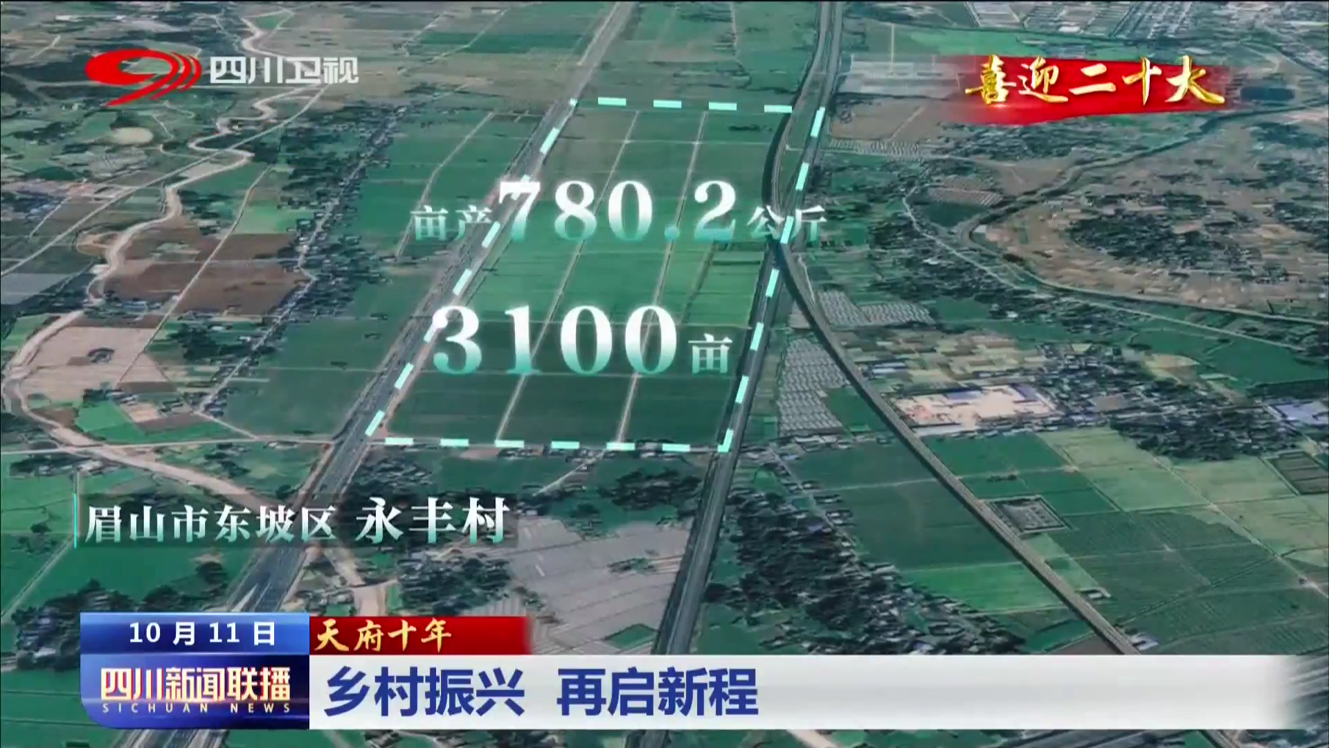 天府十年⑩：乡村振兴 再启新程 第 3 张