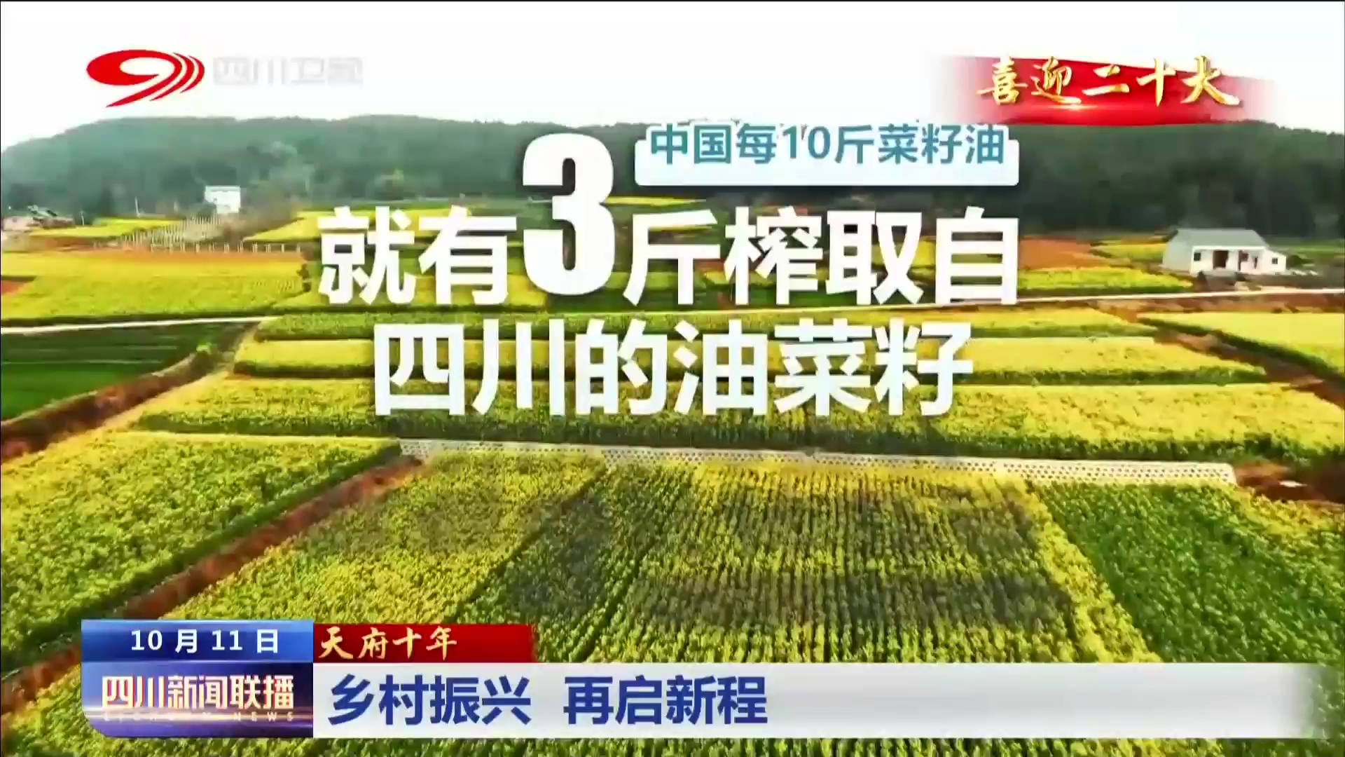 天府十年⑩：乡村振兴 再启新程 第 6 张