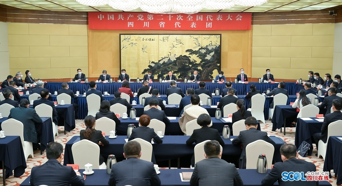 党的二十大四川省代表团举行全体会议 推选王晓晖为团长 黄强为副团长 陈炜为秘书长 第 1 张