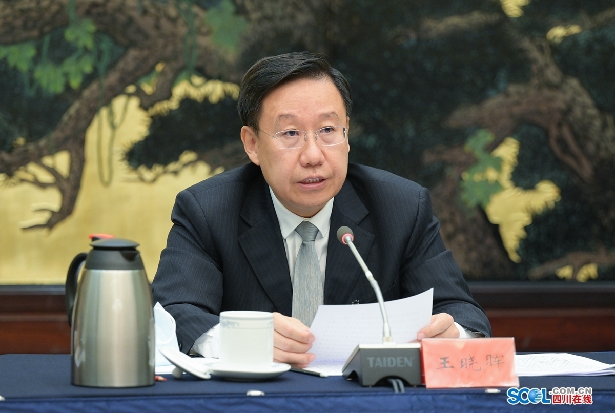 党的二十大四川省代表团举行全体会议 推选王晓晖为团长 黄强为副团长 陈炜为秘书长 第 2 张