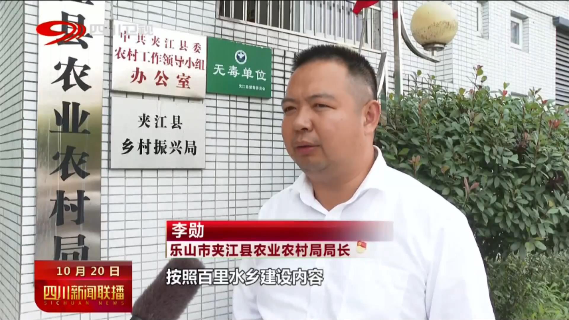 推进乡村振兴 建设农业强省 第 12 张
