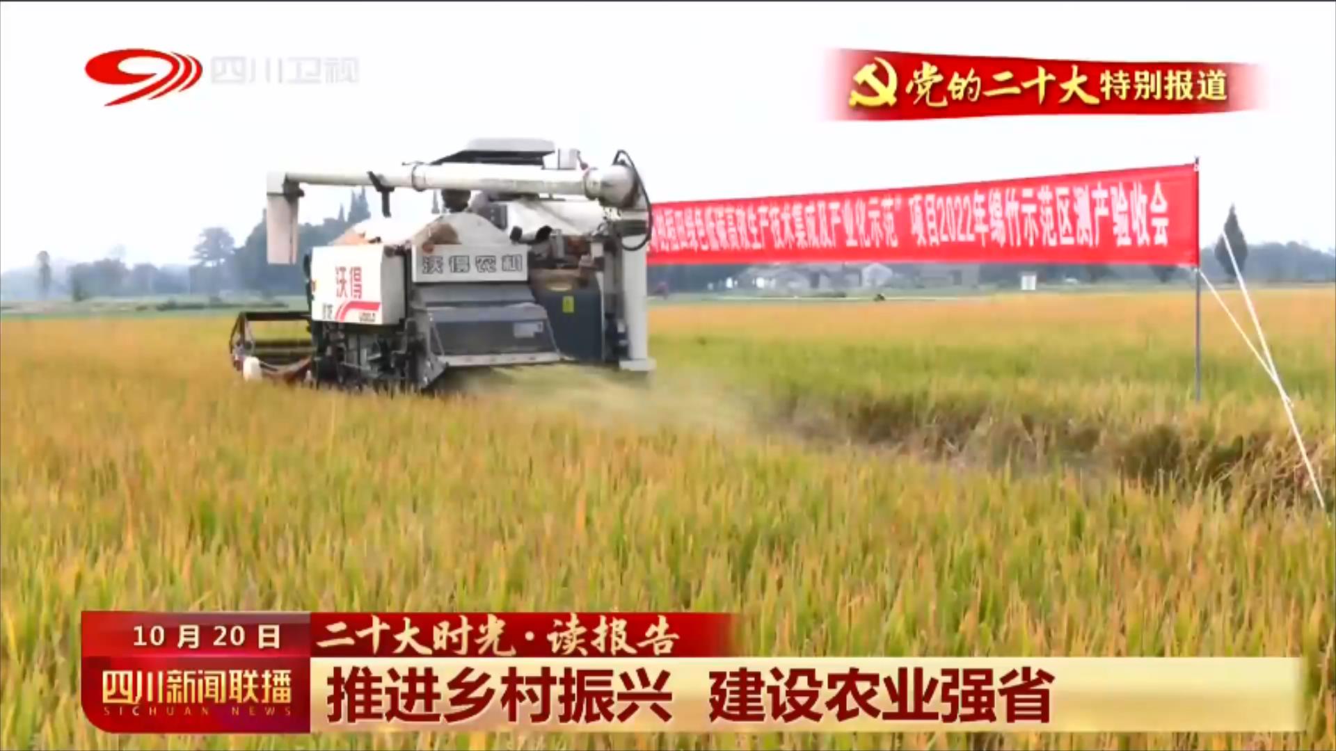 推进乡村振兴 建设农业强省 第 4 张