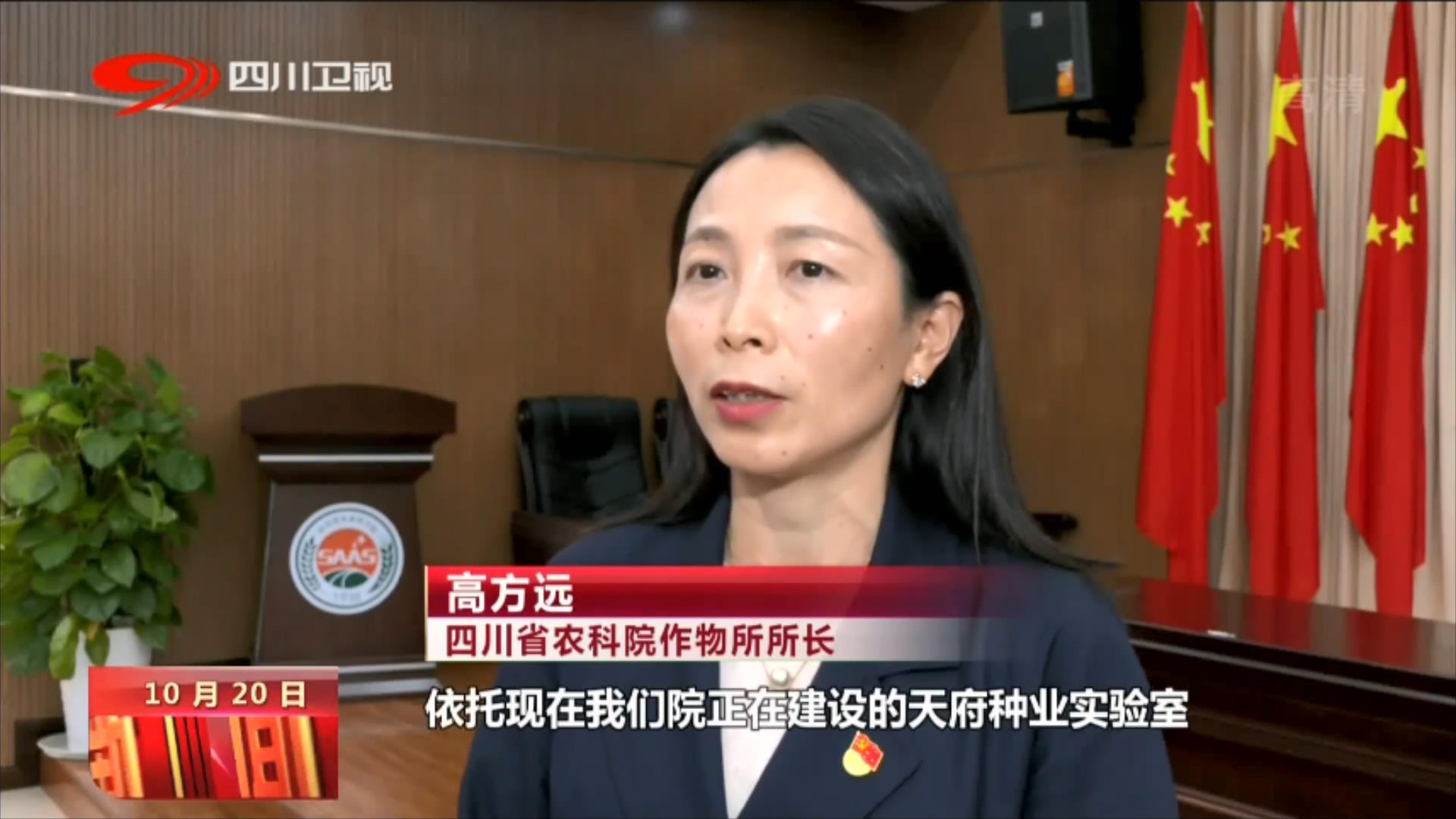 推进乡村振兴 建设农业强省 第 6 张
