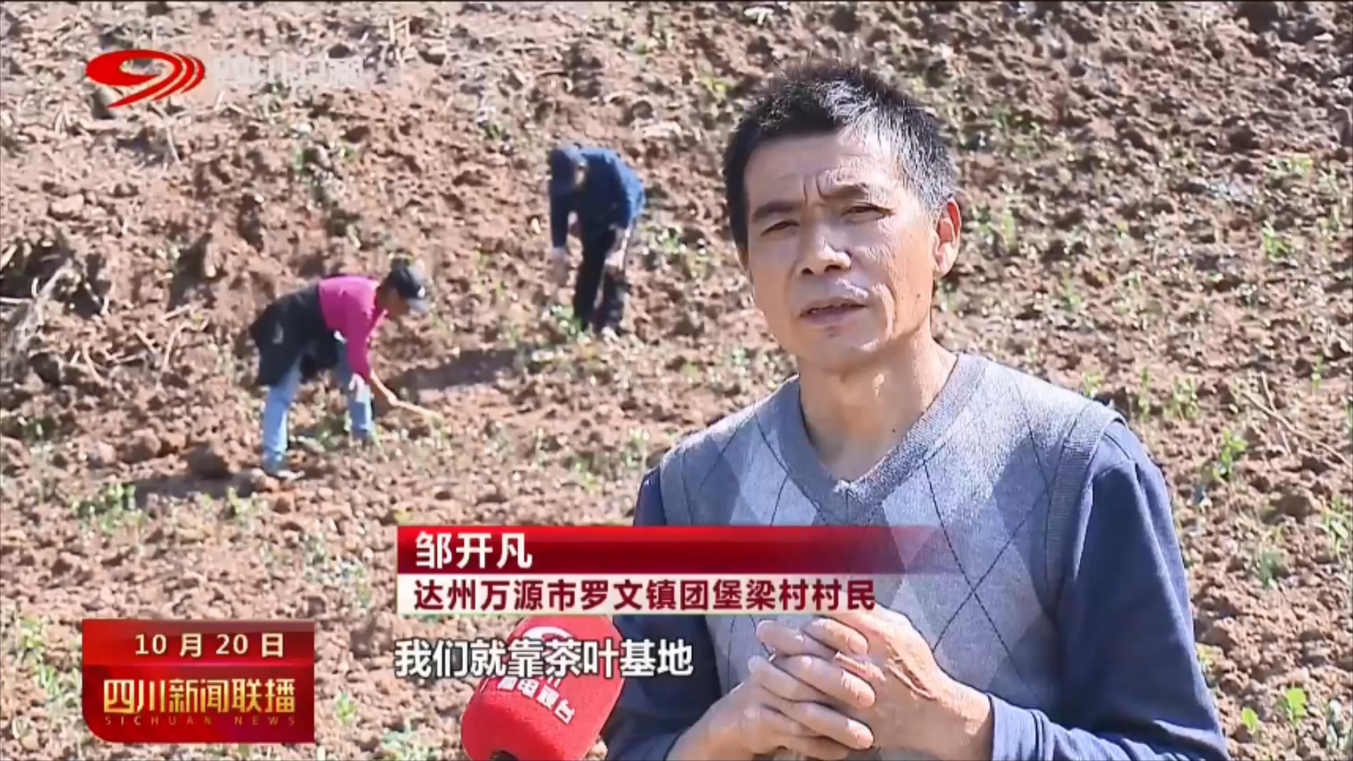 推进乡村振兴 建设农业强省 第 8 张