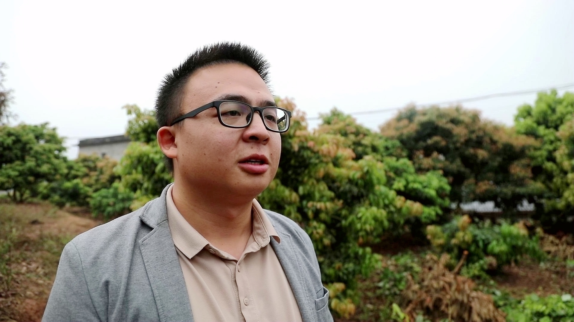 合江：管护技术送下乡，产业发展强信心 第 3 张