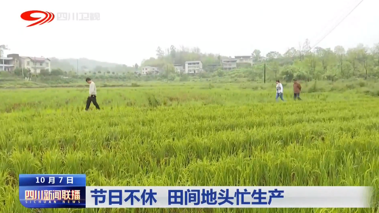 节日不休 田间地头忙生产 第 1 张