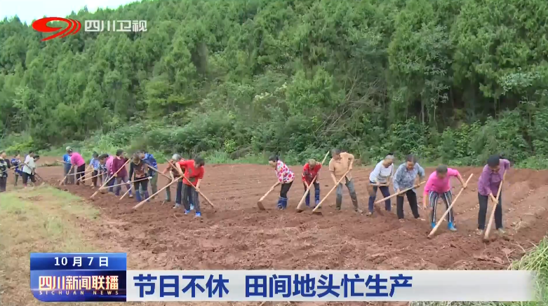 节日不休 田间地头忙生产 第 7 张