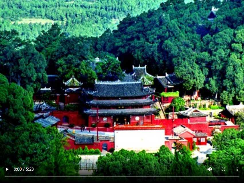 【我在乡村看见中国】绵阳梓潼：“森林活化石”让绿色成为乡村振兴最亮底色 第 1 张