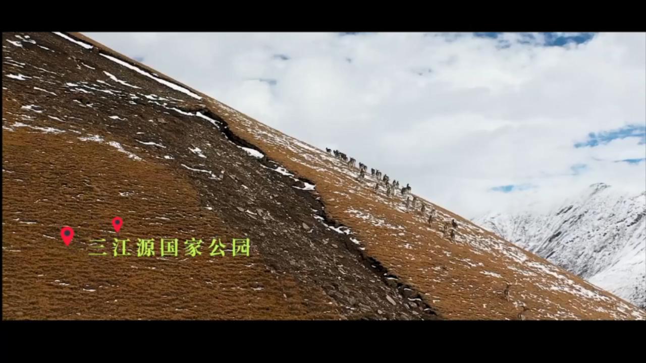 微纪录丨国家公园这一年 第 2 张