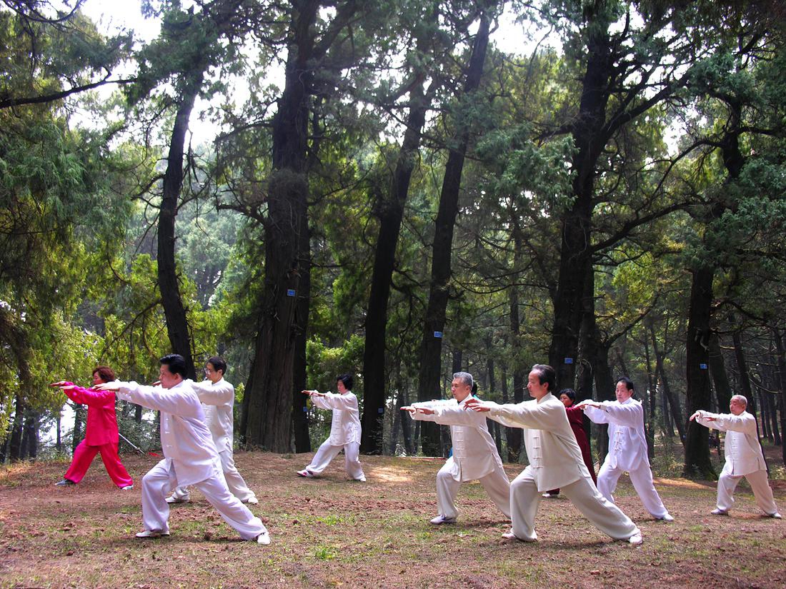 【我在乡村看见中国】绵阳梓潼：“森林活化石”让绿色成为乡村振兴最亮底色 第 5 张