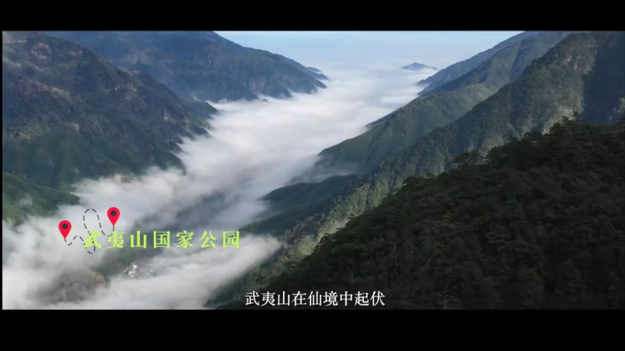 微纪录丨国家公园这一年 第 6 张