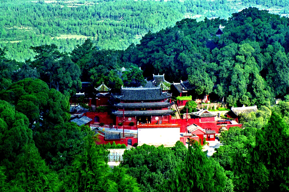 【我在乡村看见中国】绵阳梓潼：“森林活化石”让绿色成为乡村振兴最亮底色 第 6 张