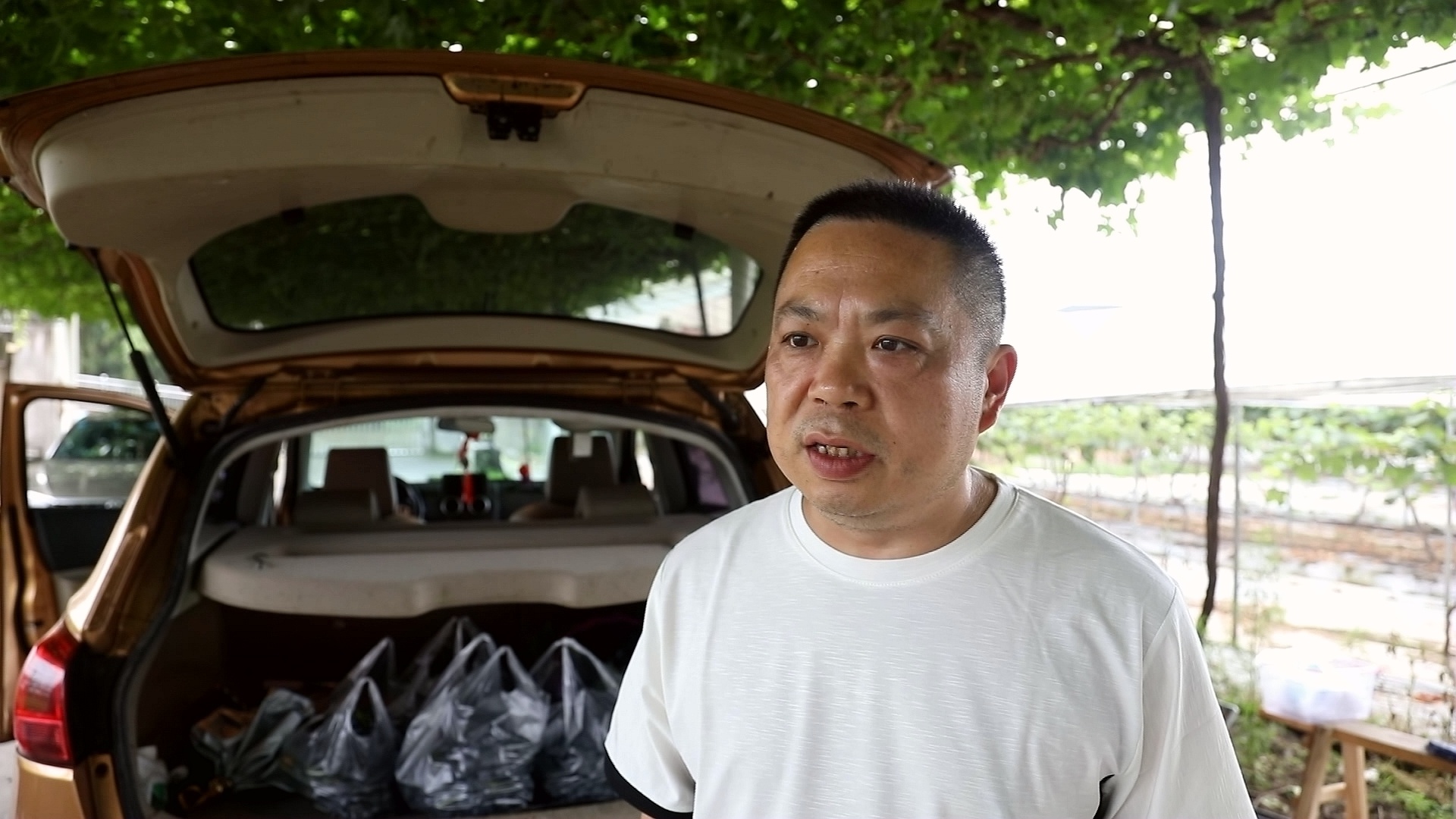合江的葡萄成熟了，快来尝鲜吧 第 10 张