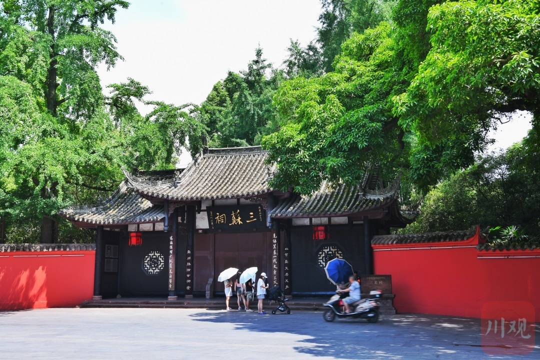 擦亮巴蜀文化名片 向世界展示天府之国深厚底蕴｜奋进新征程 建功新时代 第 3 张