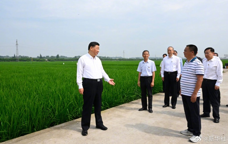 习近平在四川眉山市考察调研 第 1 张