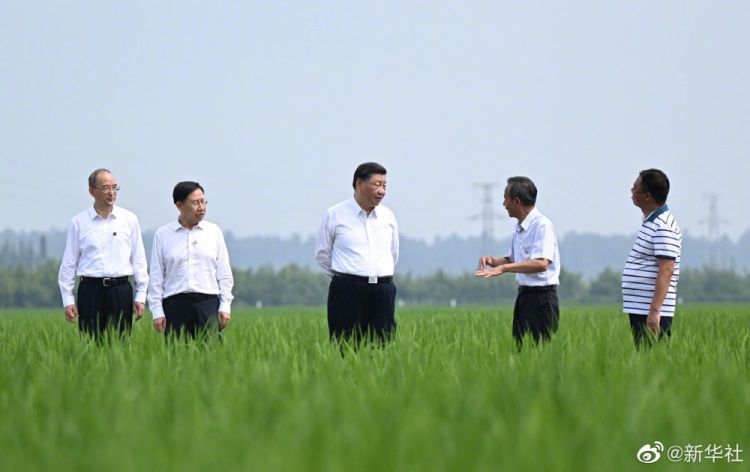 习近平在四川眉山市考察调研 第 2 张