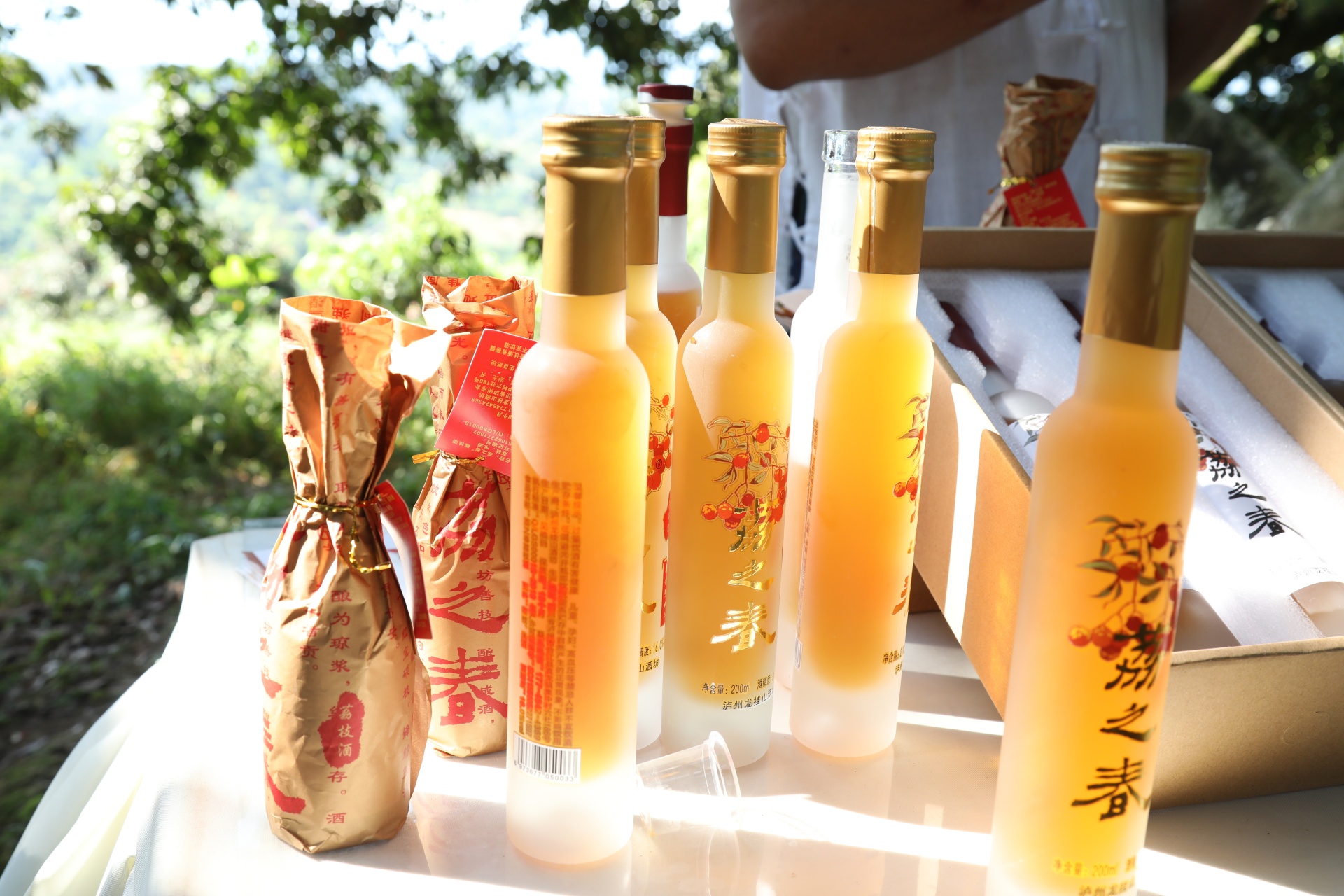 共赴一场百年荔枝林下的盛会，2022年合江荔枝采摘节举行！ 第 10 张
