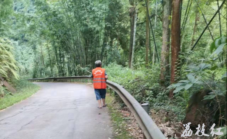 合江护林员：头顶烈日 脚行万步守护森林安全 第 1 张