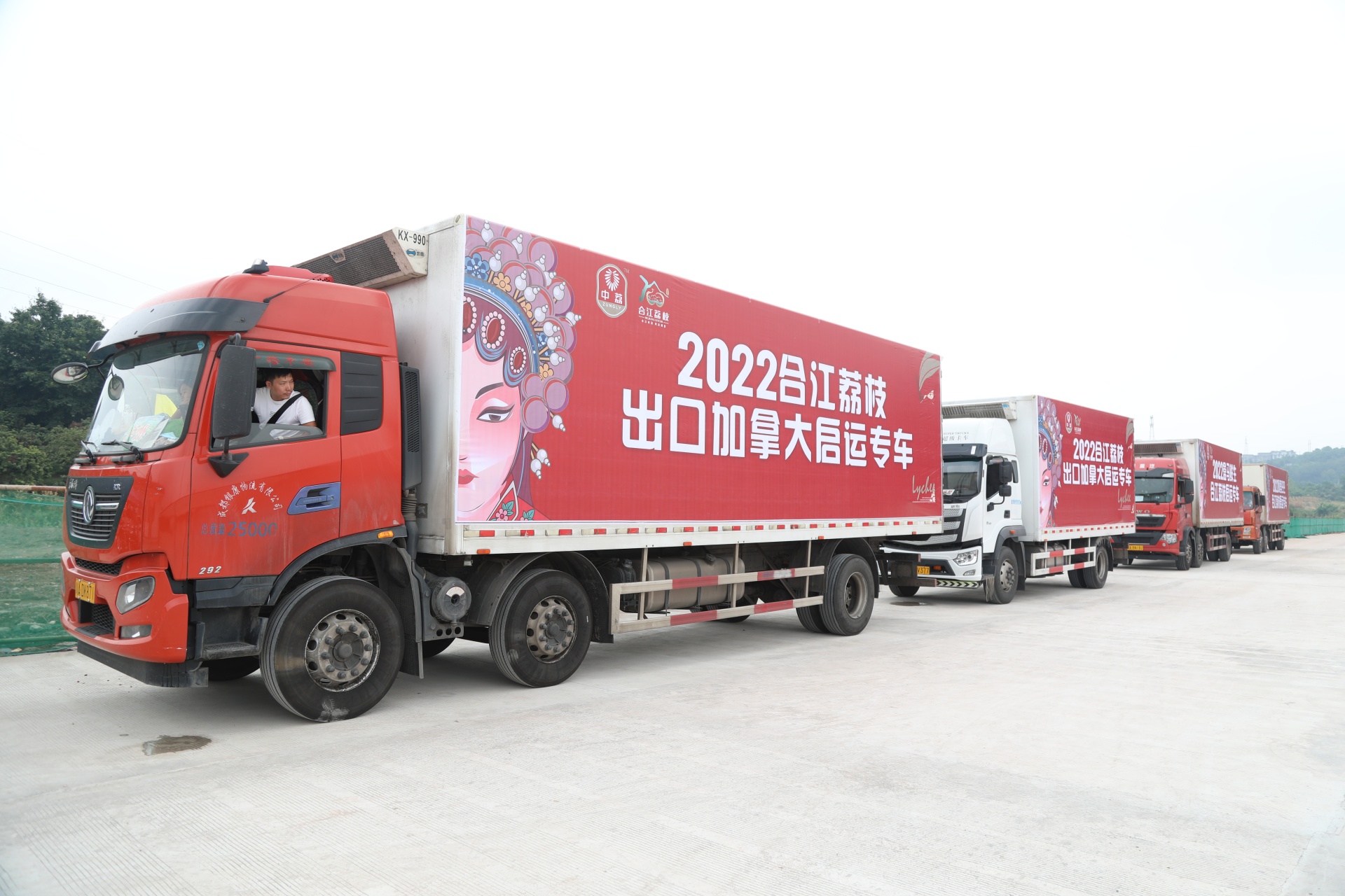 合江中荔果蔬进出口中心投用并启动出口外销 第 4 张