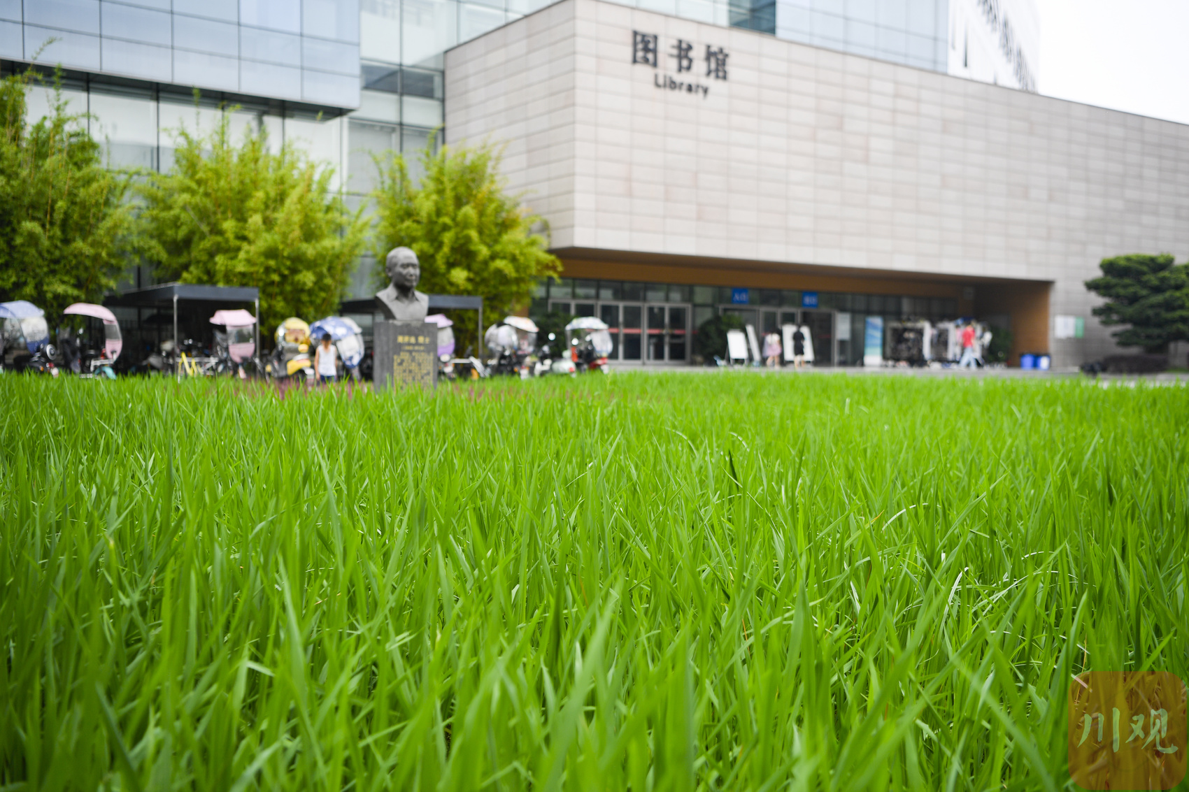 一线蹲点采访⑥｜毕业生人数创新高，这所高校就业率为何一路上扬？ 第 4 张