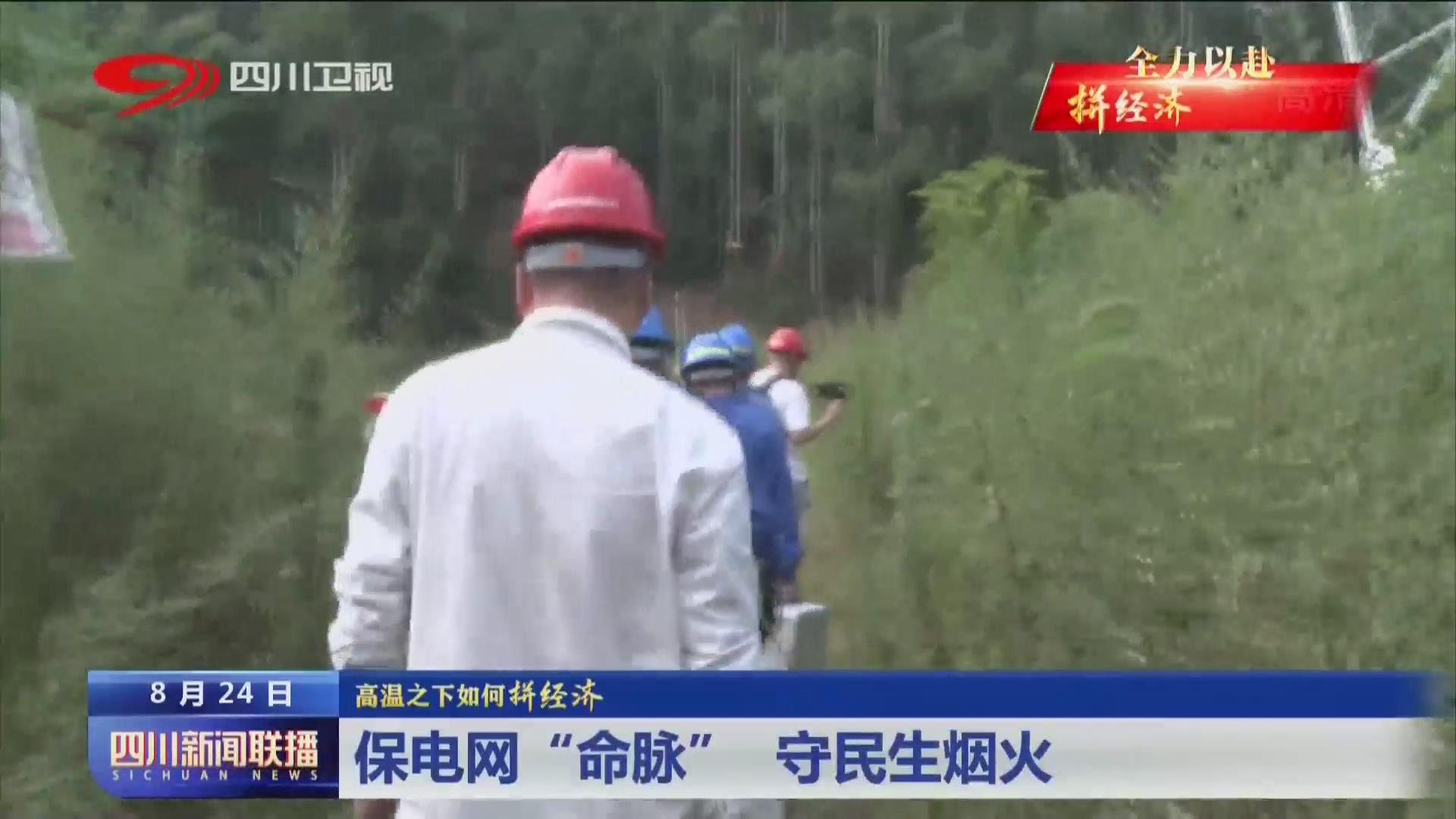 保电网“命脉” 守民生烟火 第 1 张