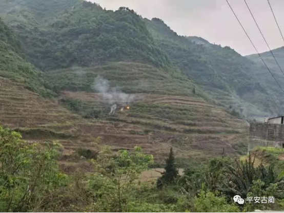 以案示警丨古蔺县公布十起违规野外用火处罚案例 第 3 张