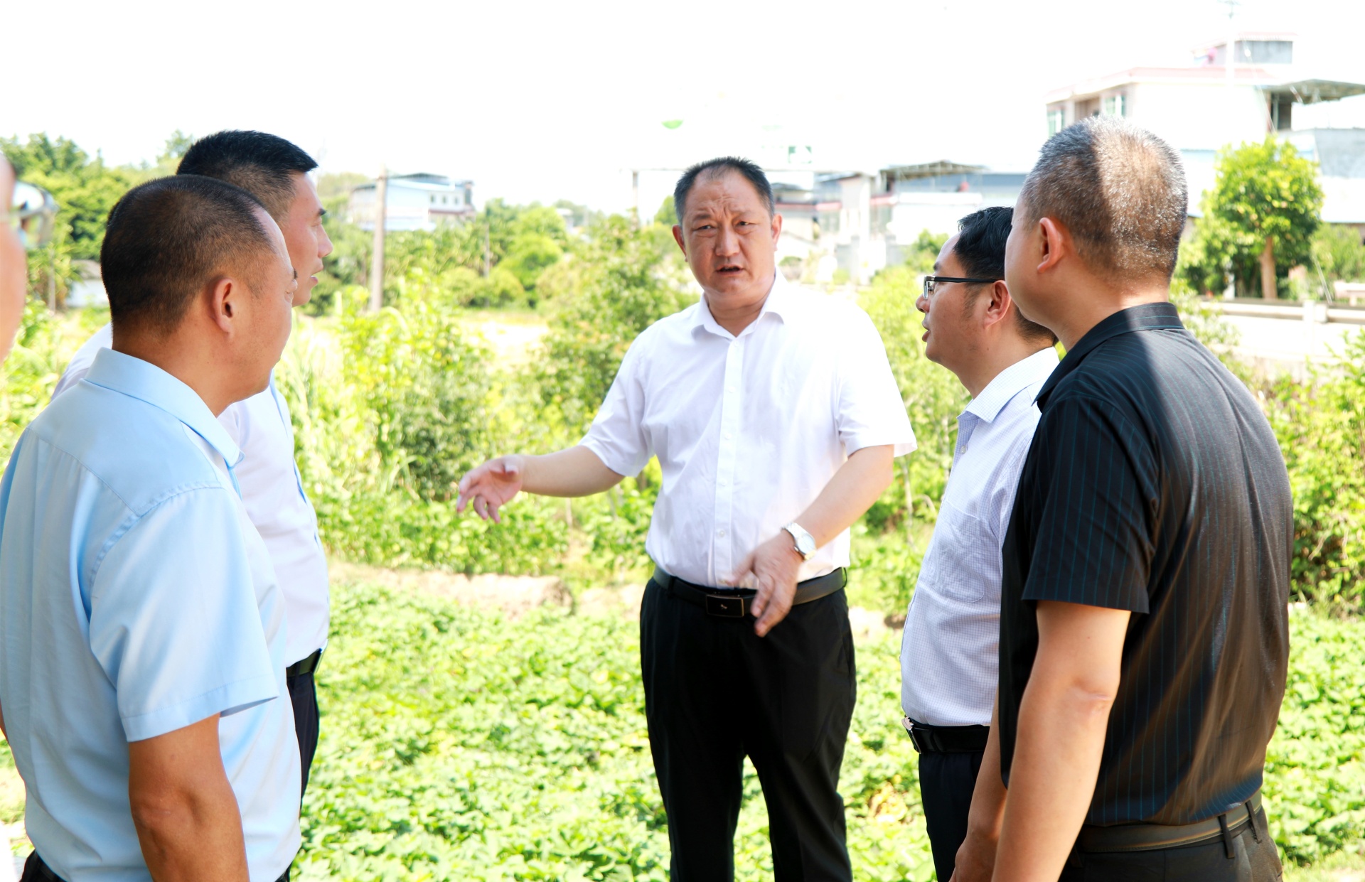 全力保障群众生活用水农业生产用水，李仁军调研合江县抗旱保供水工作