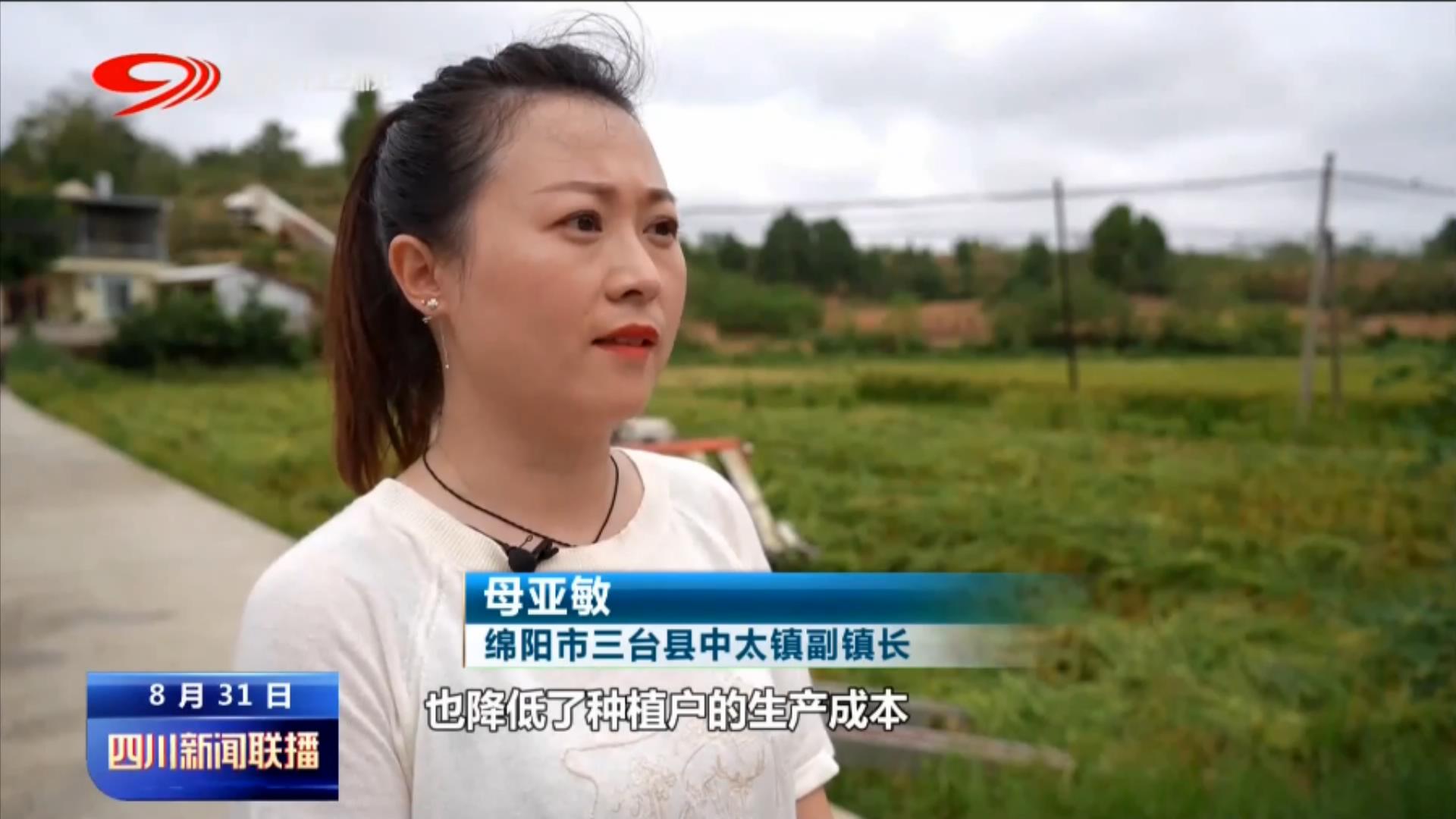 天府粮仓添新粮 稻浪飘香丰收忙 第 11 张
