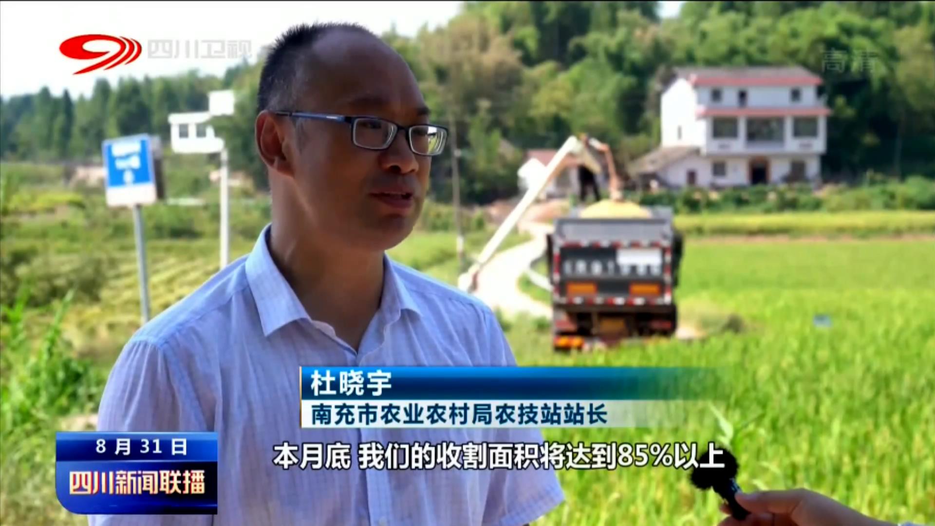 天府粮仓添新粮 稻浪飘香丰收忙 第 5 张
