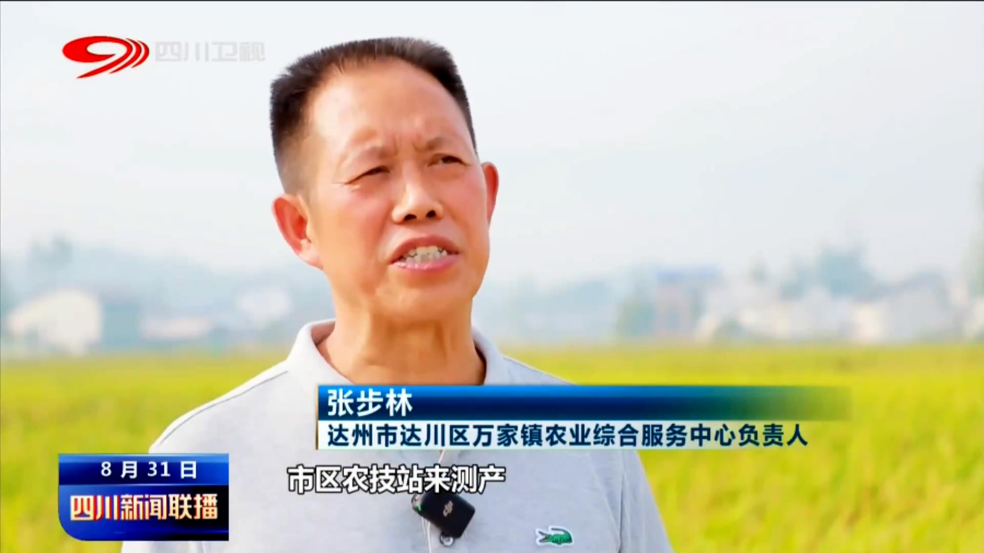 天府粮仓添新粮 稻浪飘香丰收忙 第 7 张