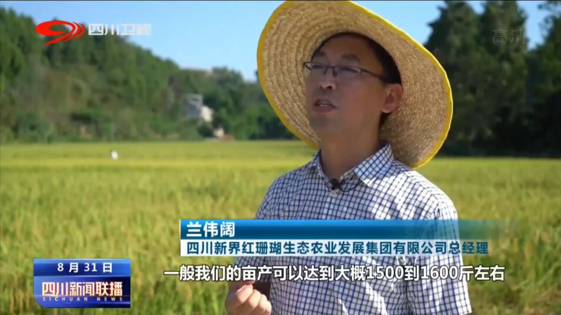 天府粮仓添新粮 稻浪飘香丰收忙 第 9 张
