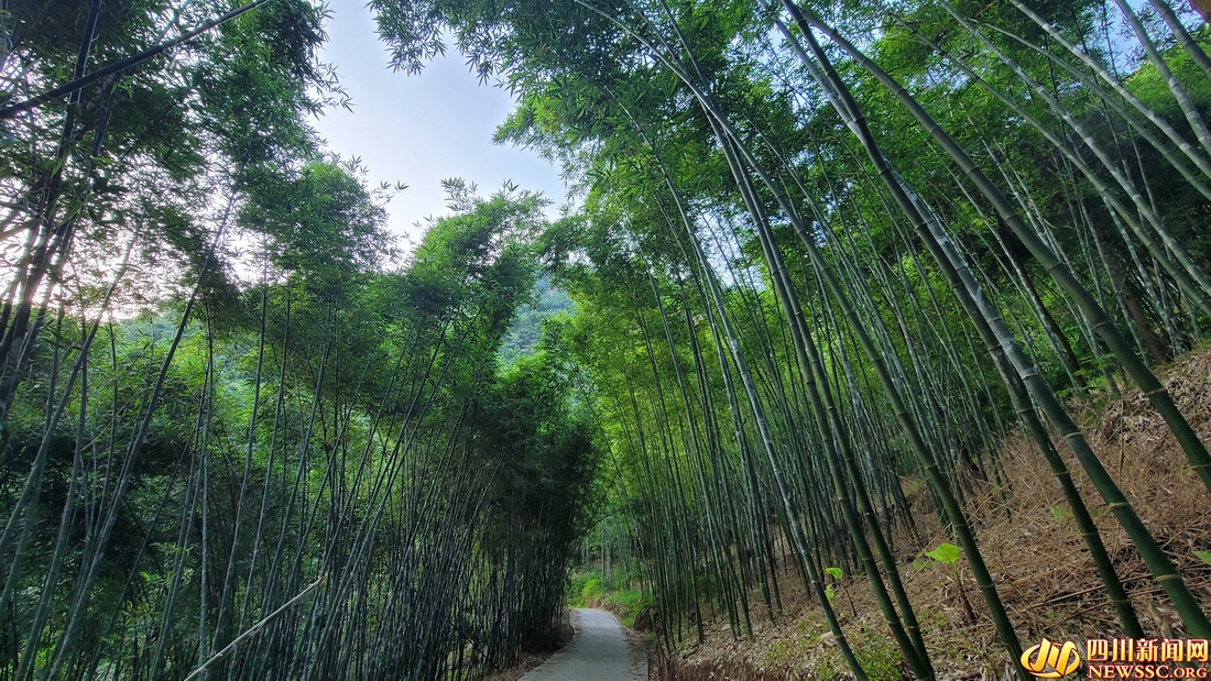 【我在乡村看见中国?】“海”经济 “嗨”生活 第 6 张