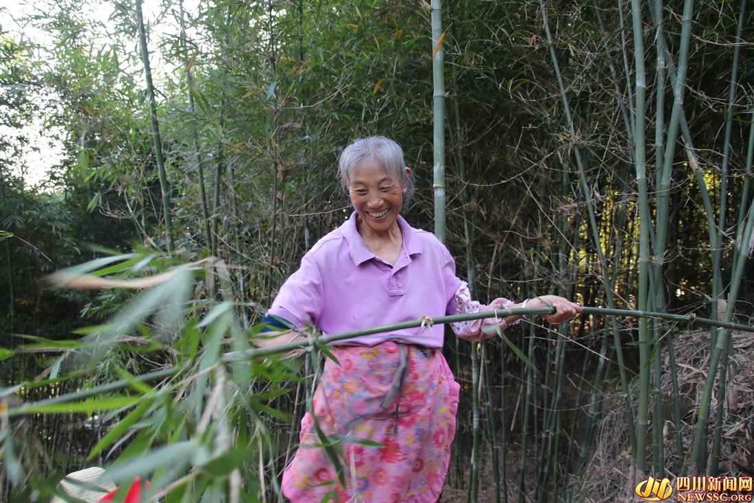 【我在乡村看见中国?】“海”经济 “嗨”生活 第 9 张