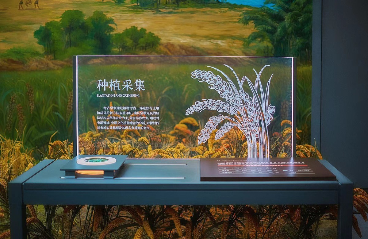 喜看稻菽千重浪——写在第五个中国农民丰收节之际 第 2 张