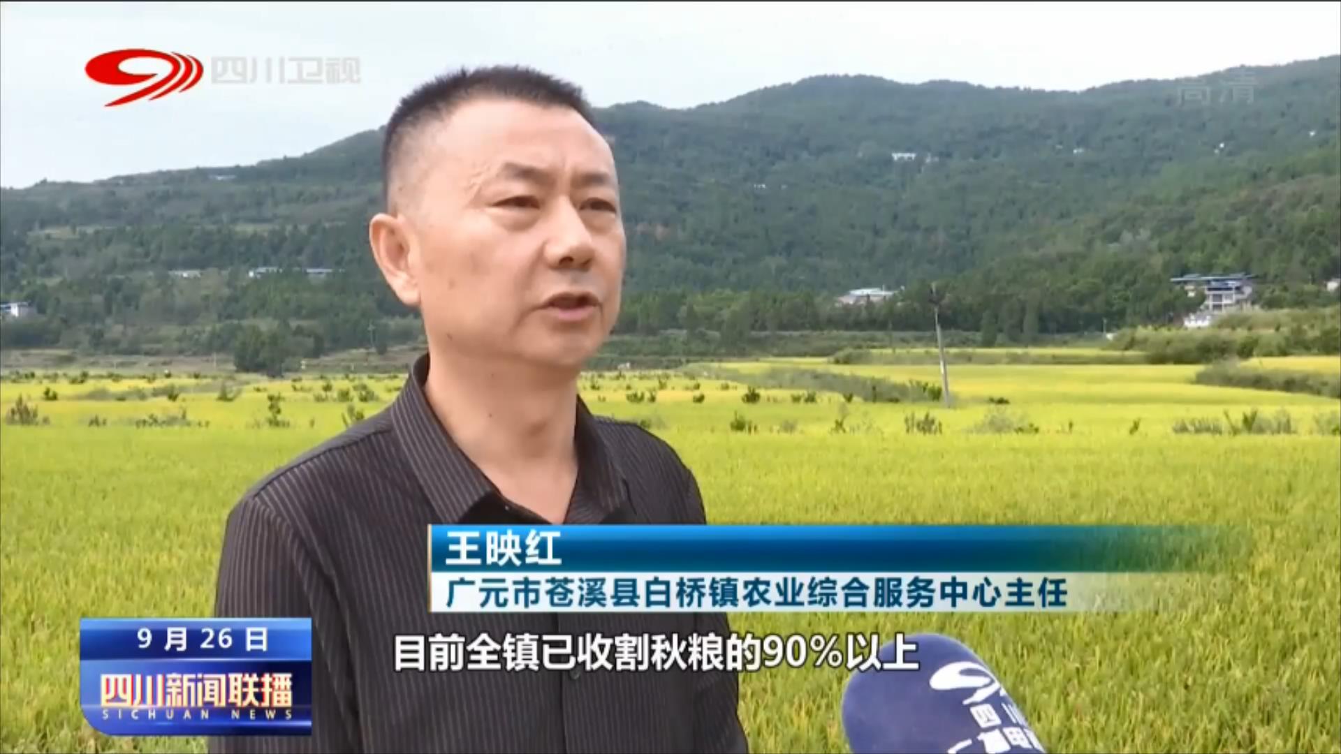 金秋丰收季 处处好“丰”景 第 4 张