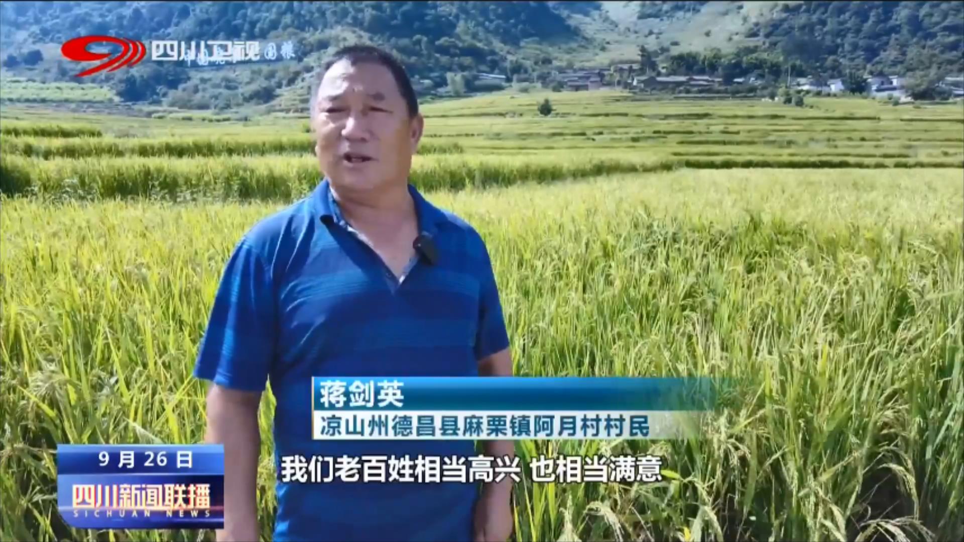 金秋丰收季 处处好“丰”景 第 5 张