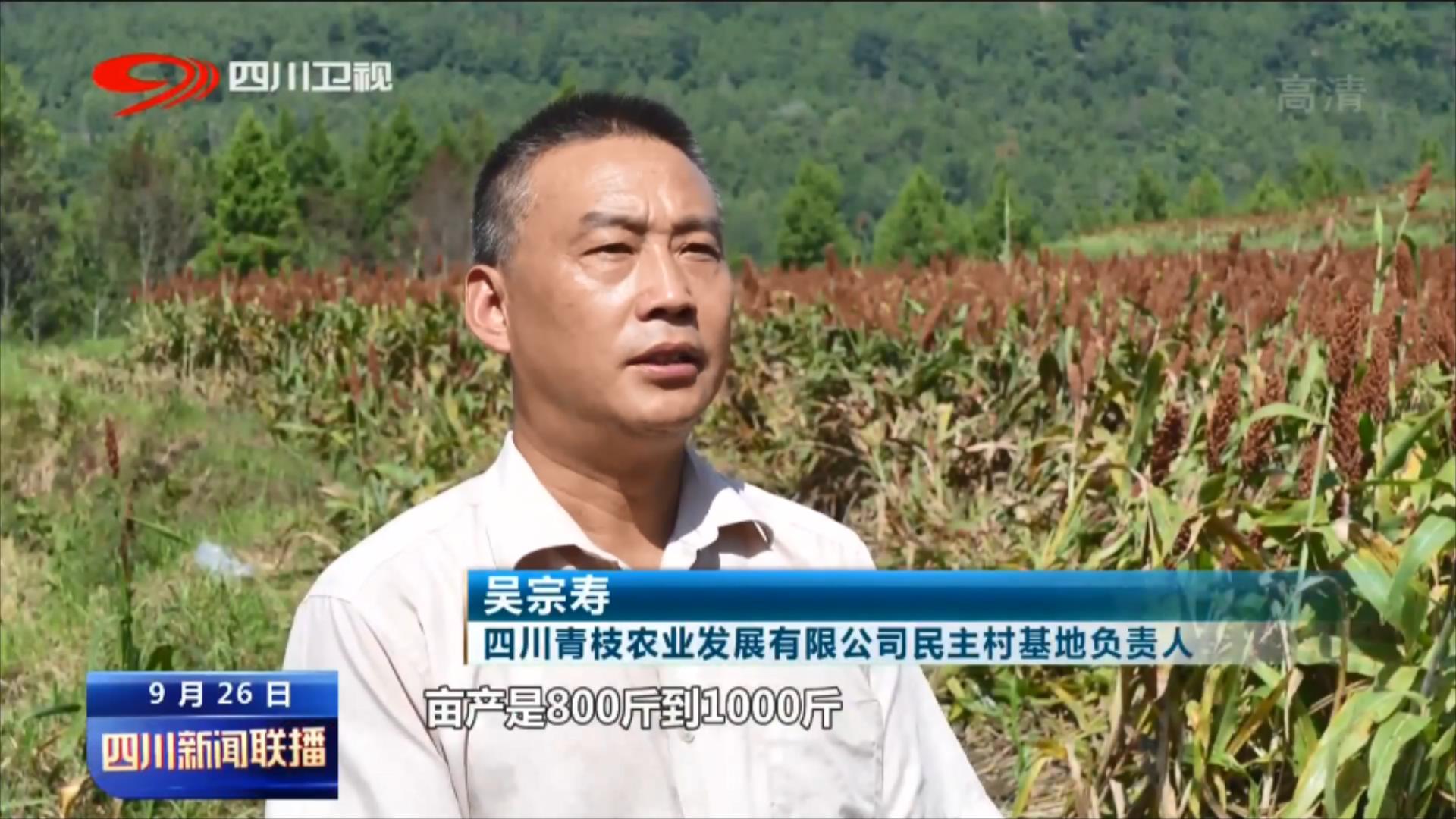 金秋丰收季 处处好“丰”景 第 6 张