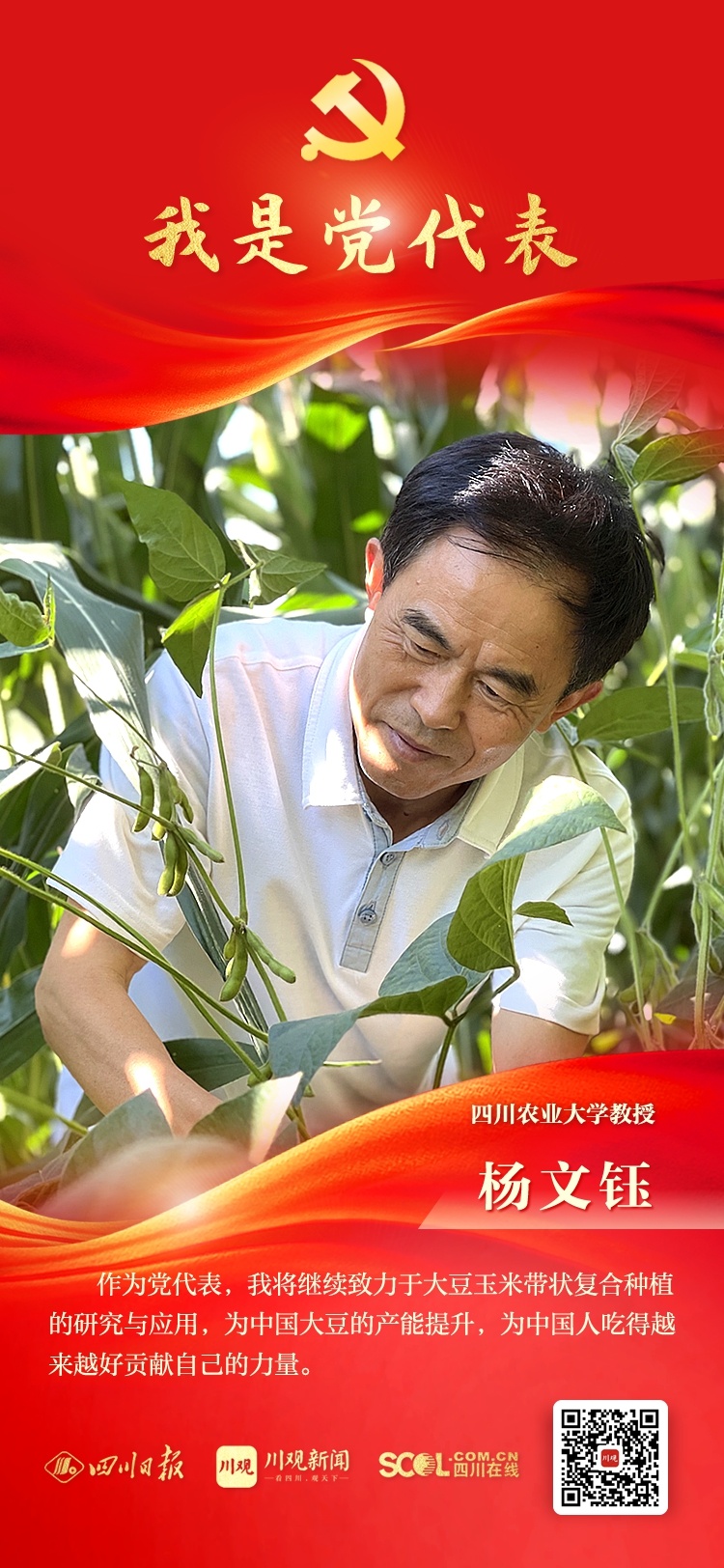 我是党代表④丨杨文钰：为护卫国家粮油安全贡献智慧力量 第 2 张