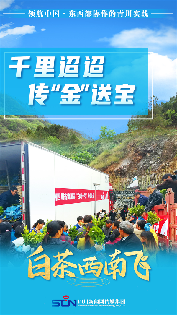 海报 | 领航中国 白茶西南飞 第 2 张