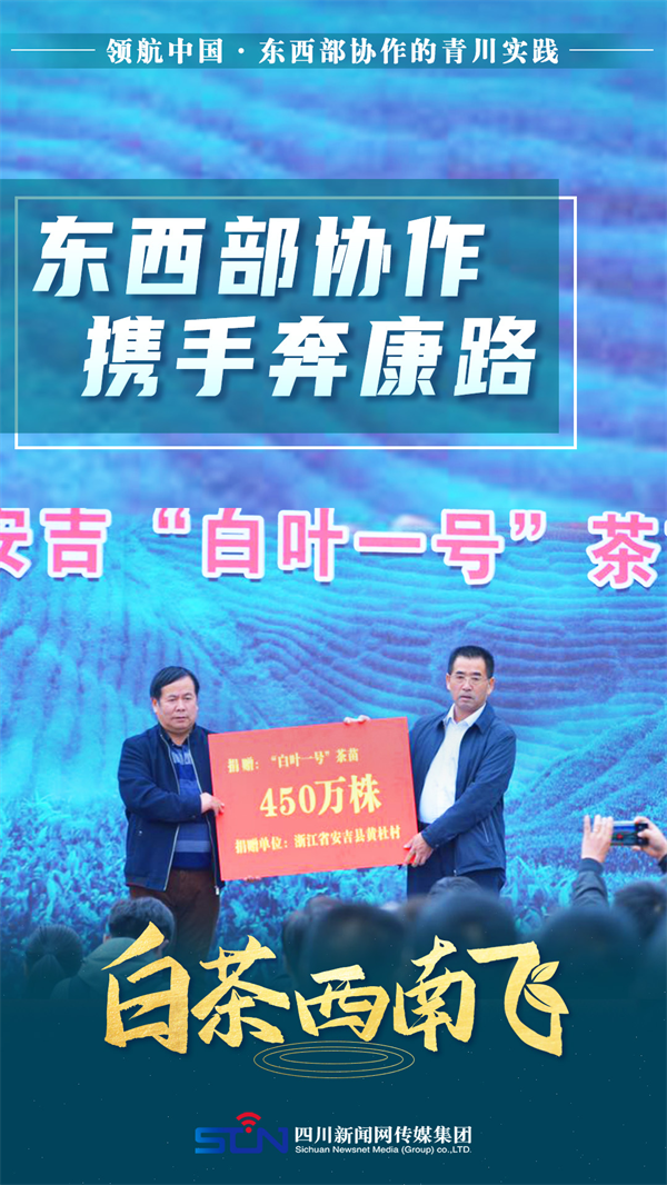 海报 | 领航中国 白茶西南飞 第 3 张