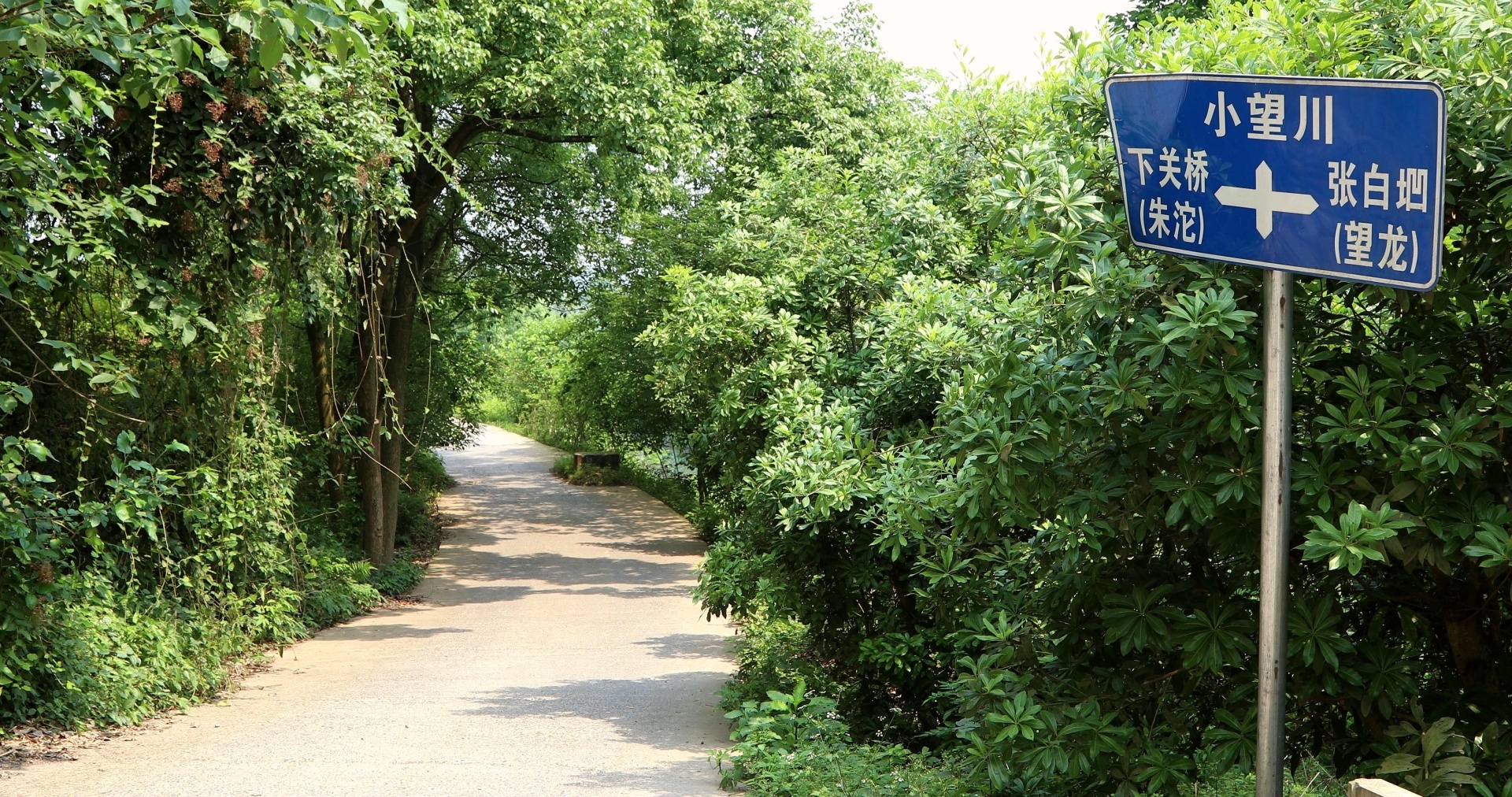 【行走川渝】（一）一条穿村路 川渝一家亲 第 11 张