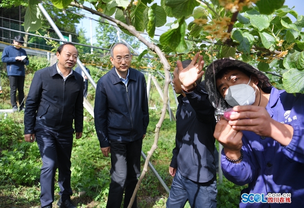 [转] 黄强省长在乐山调研时强调：牢记嘱托、凝心聚力、苦干实干，全力推动小凉山彝区经济社会高质量发展 第 2 张