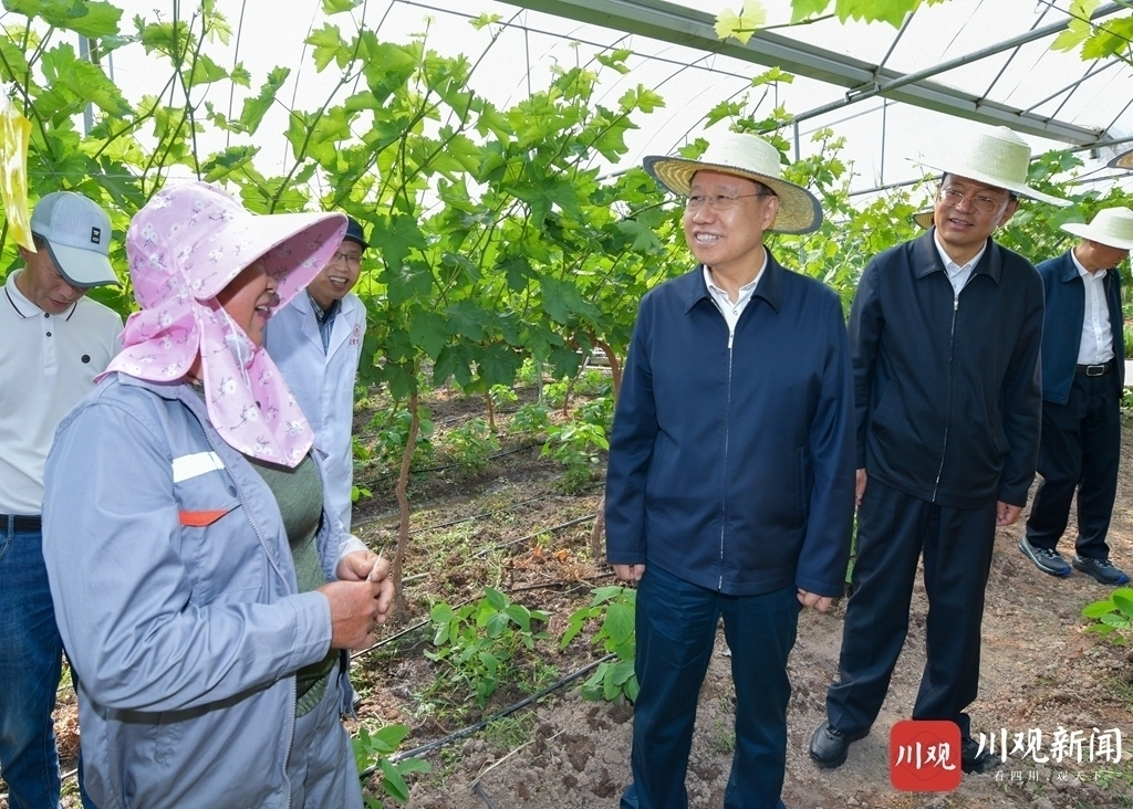 王晓晖赴凉山州调研并主持召开工作座谈会强调：持续用力巩固拓展脱贫攻坚成果、推进乡村全面振兴，努力让脱贫成果更巩固、乡村发展更美好、群众生活更幸福 第 2 张