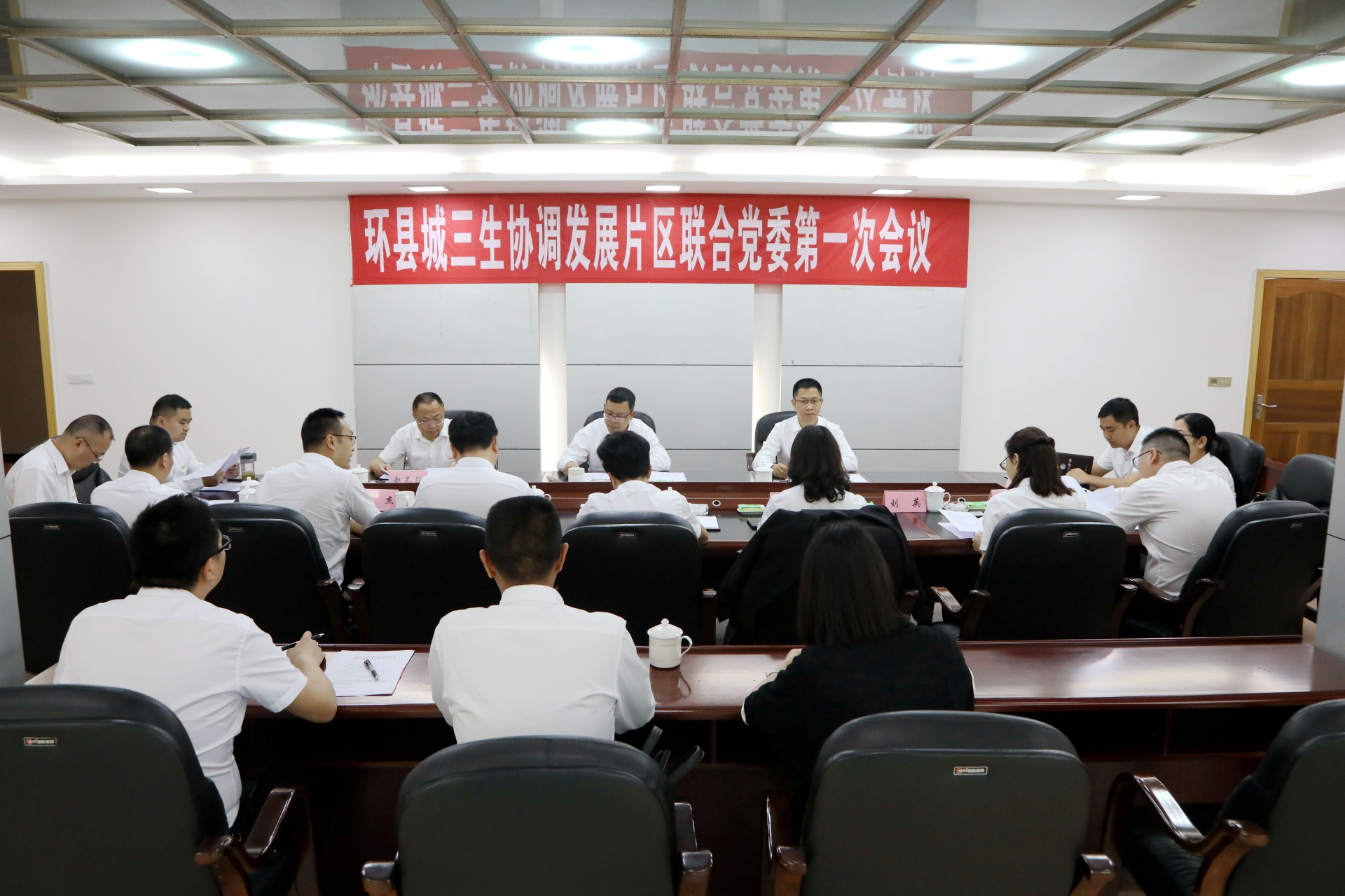 党建引领促发展，合江县环县城三生协调发展片区联合党委揭牌成立 第 3 张
