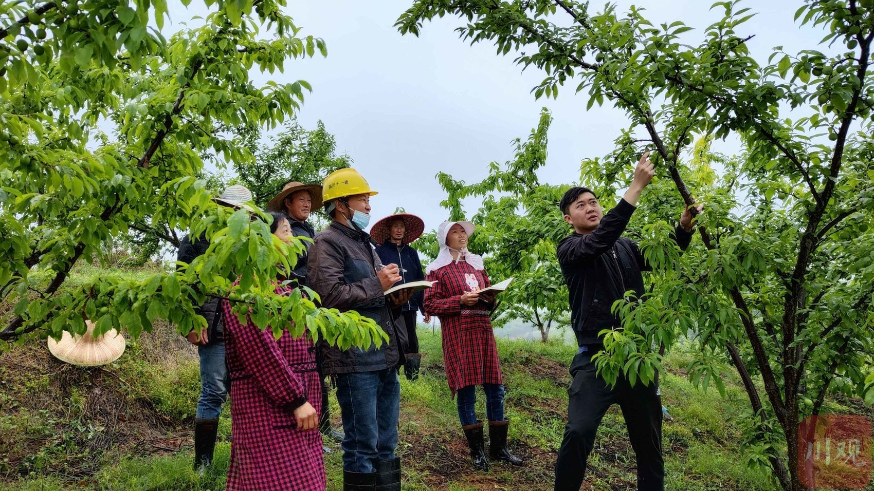 [转] “行走新巴蜀”21市州巡礼报道，第十二期聚焦自贡 第 4 张