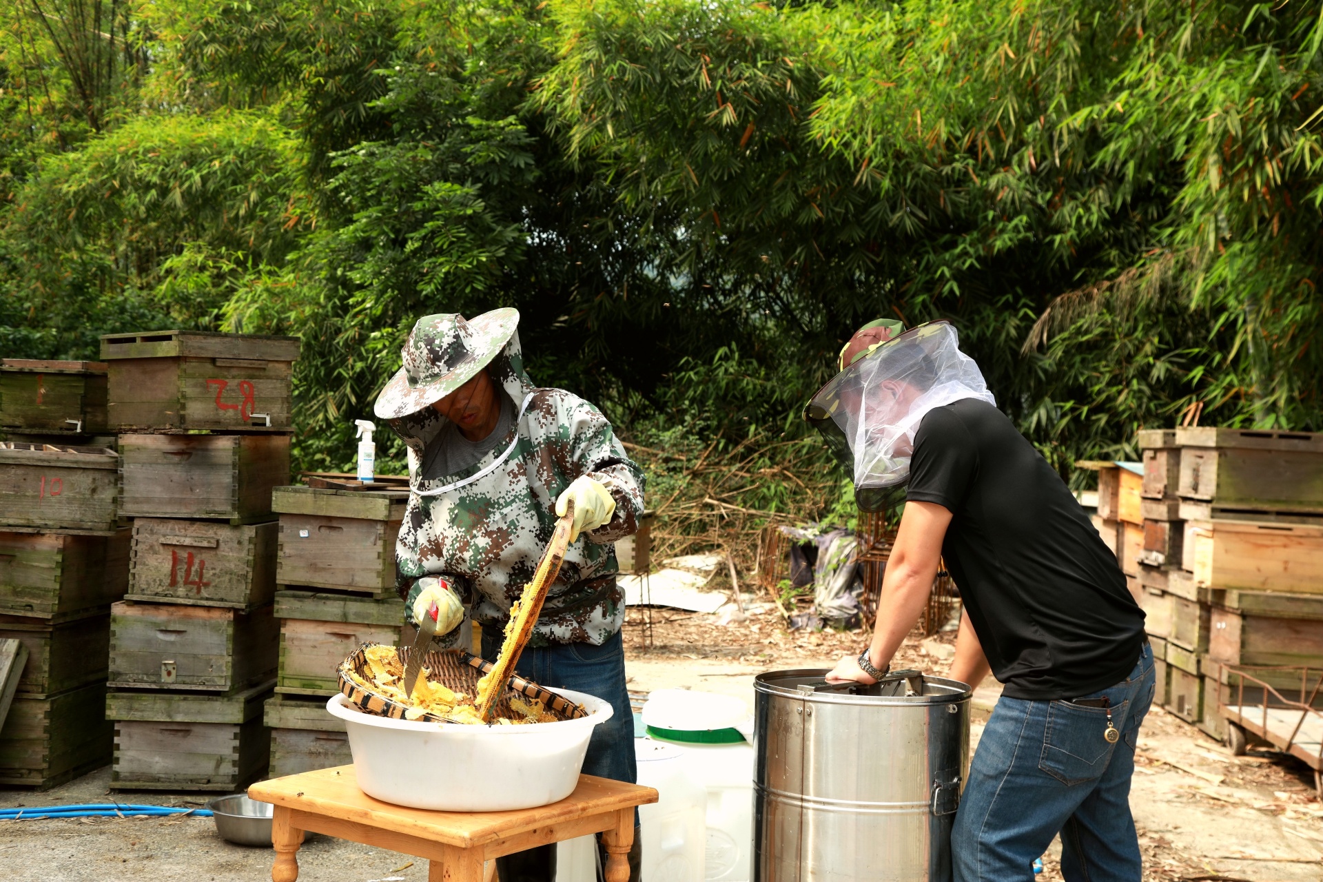 合江县两马村农民刘连明的甜蜜事业 第 4 张